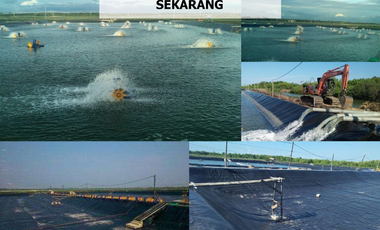 Tanah Baru Kawasan Tambak Udang Terpadu Lokasi di Desa Lamurukung