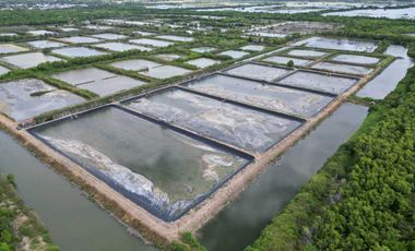 Tanah Baru Kawasan Tambak Udang Terpadu Lokasi di Desa Lamurukung