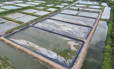 Tanah Baru Kawasan Tambak Udang Terpadu Lokasi di Desa Lamurukung