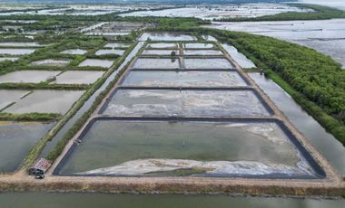 Tanah Baru Kawasan Tambak Udang Terpadu Lokasi di Desa Lamurukung