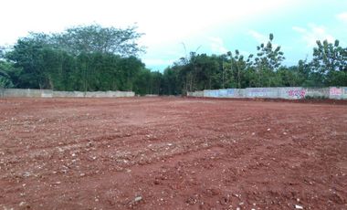 Disewakan lahan strategis