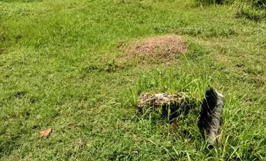 Tanah Kavling Perumahan Siap Bangun