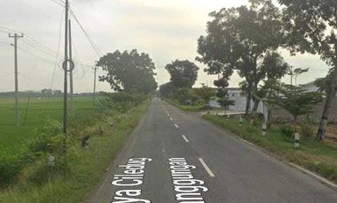 Tanah di Brebes cocok untuk gudang dan pabrik