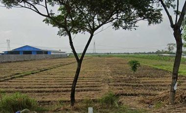 Tanah di Brebes cocok untuk gudang dan pabrik