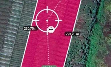 Tanah di Brebes cocok untuk gudang dan pabrik