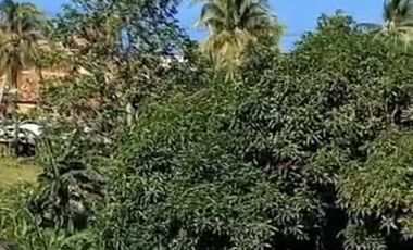 VILLA CANTIK 200 METER PANTAI CARITA ANYER 3 LT. FULLY FURNISHED SHM