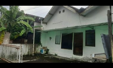 Rumah disewakan