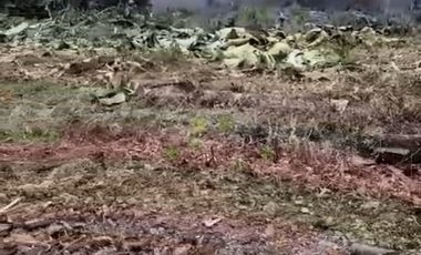 Lahan di srengseng sawah Jagakarsa Jakarta Selatan