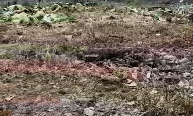 Lahan di srengseng sawah Jagakarsa Jakarta Selatan