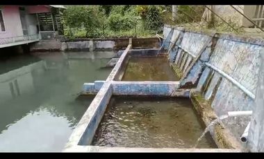 Villa Kolam Ikan + Mata Air Lt. 278, Bojong, Purwakarta.