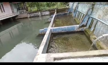 Villa Kolam Ikan + Mata Air Lt. 278, Bojong, Purwakarta.