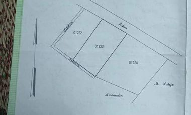 DIJUAL RUMAH 2 LANTAI SIAP HUNI LOKASI MUNGKID