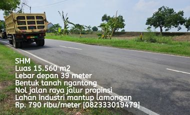 Tanah dijual di Wonokromo, Lamongan, Jawa Timur