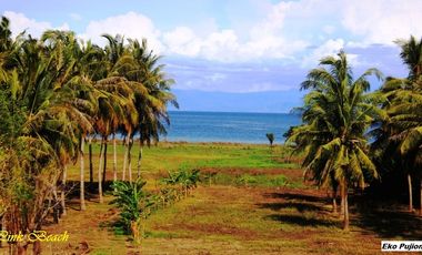 Dijual Tanah Tepi Pantai Pink Beach Telone Lombok Timur