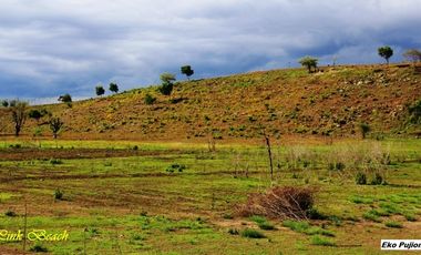 Dijual Tanah Tepi Pantai Pink Beach Telone Lombok Timur