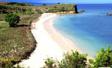 Dijual Tanah Tepi Pantai Pink Beach Telone Lombok Timur