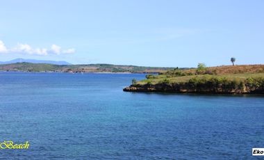 Dijual Tanah Tepi Pantai Pink Beach Telone Lombok Timur