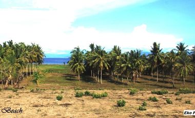 Dijual Tanah Tepi Pantai Pink Beach Telone Lombok Timur