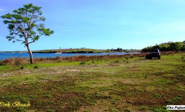 Dijual Tanah Tepi Pantai Pink Beach Telone Lombok Timur