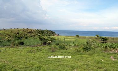 Dijual Tanah 8.6 Ha Tepi Pantai Pink Beach Telone Lombok Timur