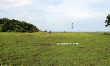 Dijual Tanah 8.6 Ha Tepi Pantai Pink Beach Telone Lombok Timur