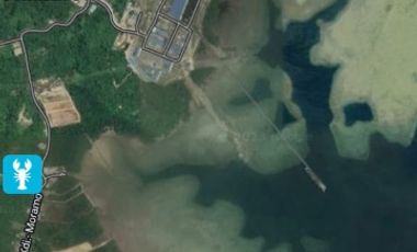 jual tanah pinggir pantai