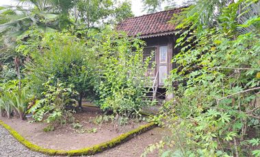 Dijual Tanah Kebun Sudah ada Rumah di Yogyakarta, Hunian Asri Cantik