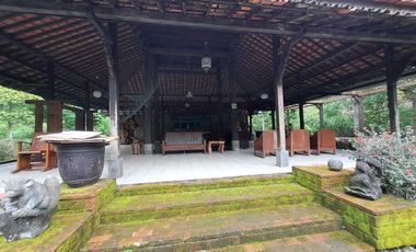 Dijual Tanah Kebun Sudah ada Rumah di Yogyakarta, Hunian Asri Cantik