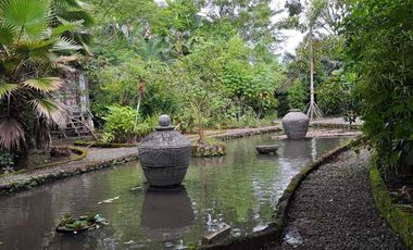 Dijual Tanah Kebun Sudah ada Rumah di Yogyakarta, Hunian Asri Cantik