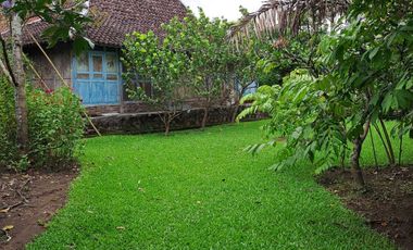 Dijual Tanah Kebun Sudah ada Rumah di Yogyakarta, Hunian Asri Cantik