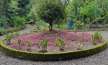 Dijual Tanah Kebun Sudah ada Rumah di Yogyakarta, Hunian Asri Cantik