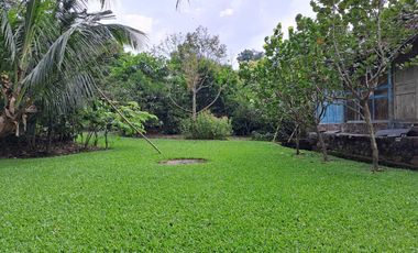 Dijual Tanah Kebun Sudah ada Rumah di Yogyakarta, Hunian Asri Cantik