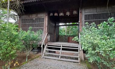 Dijual Tanah Kebun Sudah ada Rumah di Yogyakarta, Hunian Asri Cantik