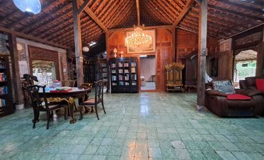 Dijual Tanah Kebun Sudah ada Rumah di Yogyakarta, Hunian Asri Cantik