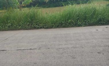 Jual Tanah industri Rangkasbitung Raya.