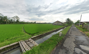 Dijual Sawah Tepi Jalan Sindas, Legalitas SHM Cocok Investasi