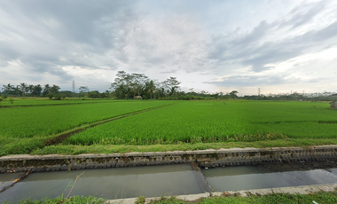 Dijual Sawah Tepi Jalan Sindas, Legalitas SHM Cocok Investasi