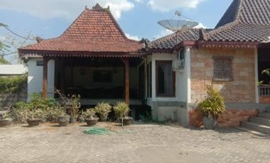 Tempat usaha aktif 1 HA harga 8 Milyar di Dradahblumbang, Lamongan