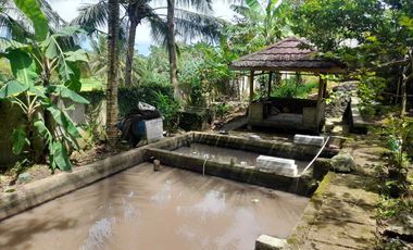JUAL RUMAH/VILLA Luas 460 m2 DS.CURUG AGUNG BAROS Kab.SERANG