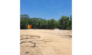 Kavling di DS Kedawung Banyuputih Batang Jawa Tengah