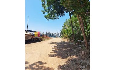 Kavling di DS Kedawung Banyuputih Batang Jawa Tengah