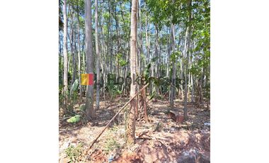 Kavling di DS Kedawung Banyuputih Batang Jawa Tengah