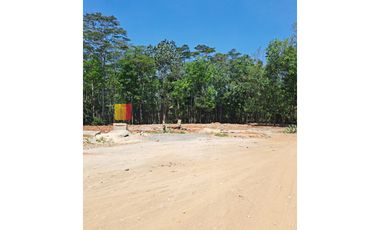 Kavling di DS Kedawung Banyuputih Batang Jawa Tengah