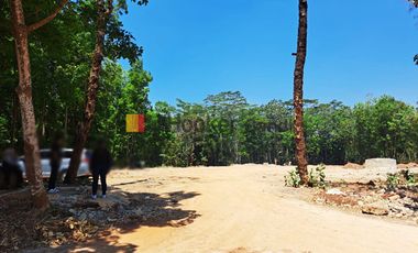 Kavling di DS Kedawung Banyuputih Batang Jawa Tengah