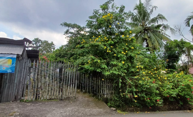 DIJUAL TANAH DI JALAN LKMD KILO KM 3 – MN