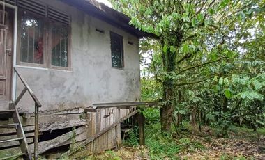 DIJUAL TANAH DI JALAN LKMD KILO KM 3 – MN