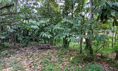 DIJUAL TANAH DI JALAN LKMD KILO KM 3 – MN