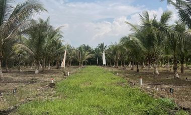 Tanah Kavling Harga Promo 29 juta