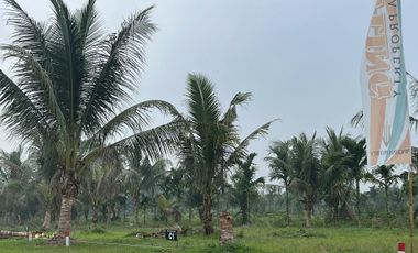 Tanah Kavling Harga Promo 29 juta