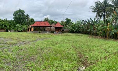 Dijual tanah SHMP di Sentolo Kulon Progo bonus joglo u/investasi dll